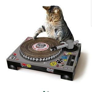 Meet your Posher, Geisa